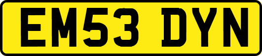 EM53DYN