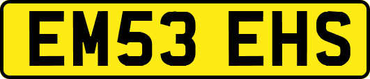 EM53EHS