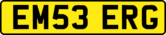 EM53ERG