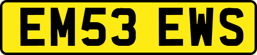 EM53EWS