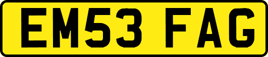 EM53FAG