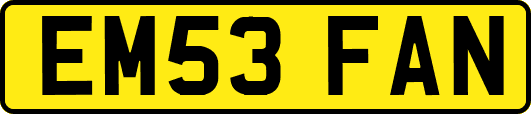 EM53FAN
