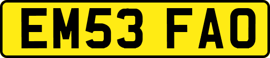 EM53FAO