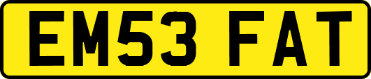 EM53FAT
