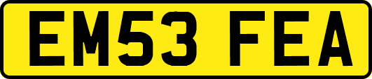 EM53FEA