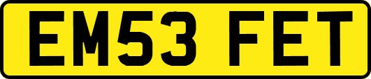 EM53FET