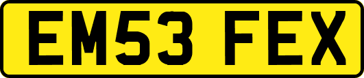 EM53FEX