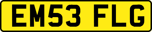 EM53FLG