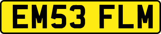 EM53FLM