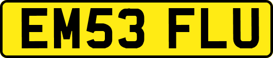 EM53FLU