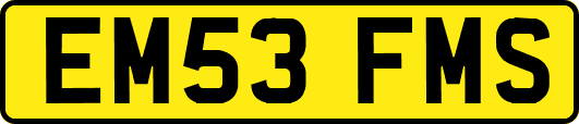 EM53FMS