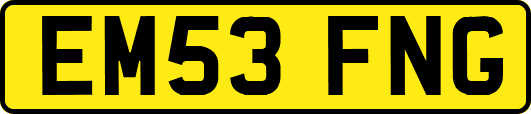 EM53FNG