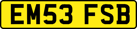 EM53FSB