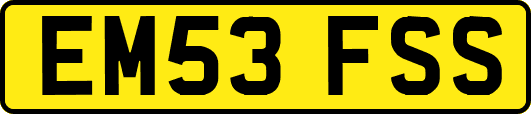 EM53FSS