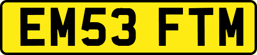 EM53FTM