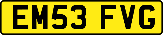 EM53FVG