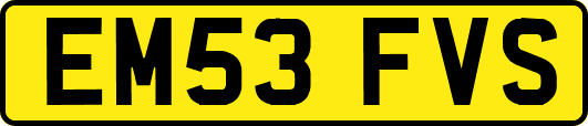 EM53FVS