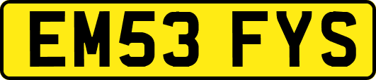 EM53FYS