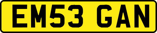 EM53GAN