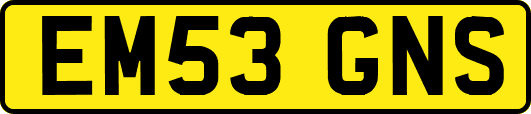 EM53GNS