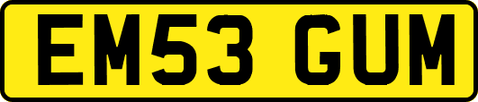 EM53GUM