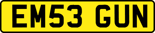 EM53GUN
