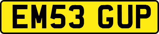 EM53GUP