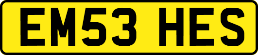 EM53HES