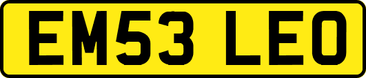 EM53LEO