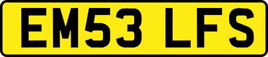 EM53LFS
