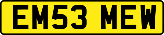 EM53MEW