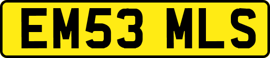 EM53MLS