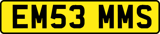 EM53MMS