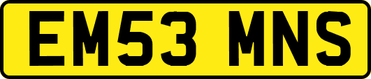 EM53MNS