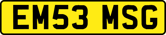 EM53MSG