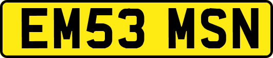 EM53MSN