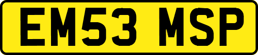 EM53MSP