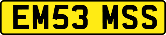 EM53MSS