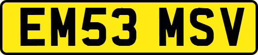 EM53MSV