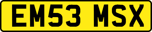 EM53MSX