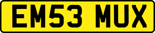 EM53MUX