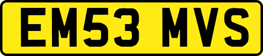 EM53MVS