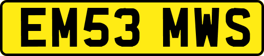 EM53MWS