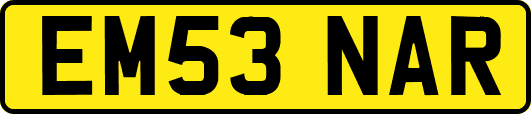 EM53NAR