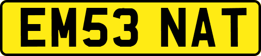 EM53NAT
