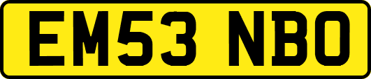 EM53NBO