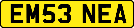 EM53NEA