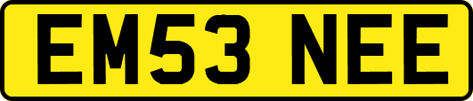 EM53NEE