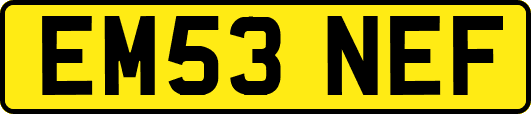 EM53NEF