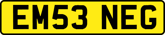 EM53NEG